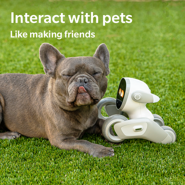 Loona Premium Smart Robot, AI PETBOT avec station de chargement, KEYi Tech